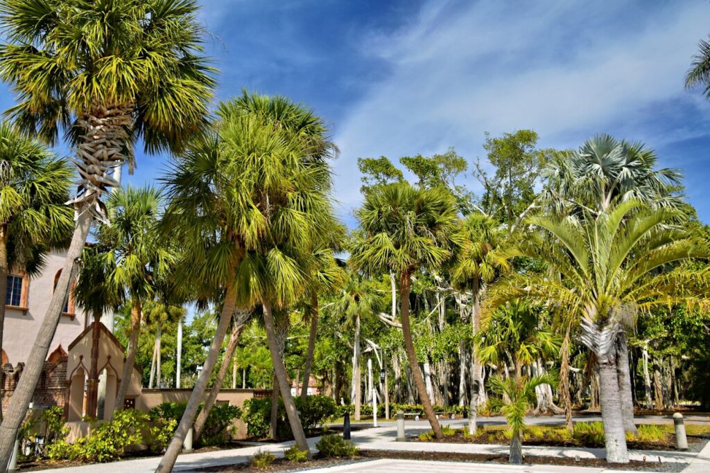 Palm trees stand tall against a bright, blue sky