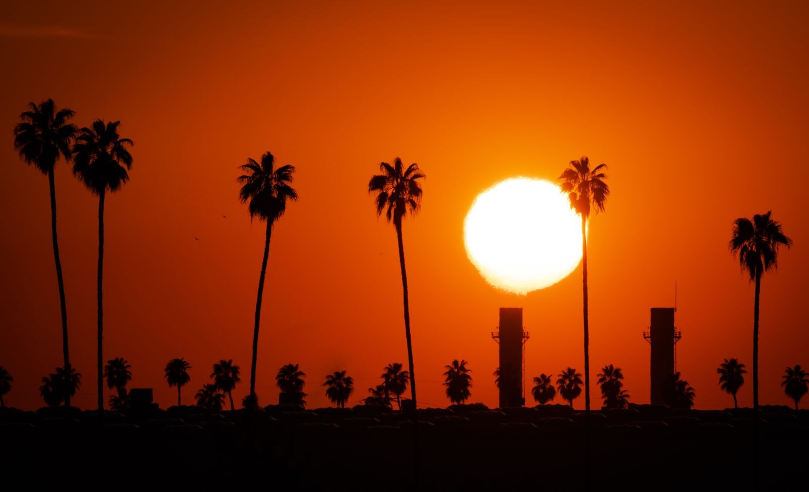 A dramatic sunset silhouette of palm trees and industrial structures in Redlands, California.