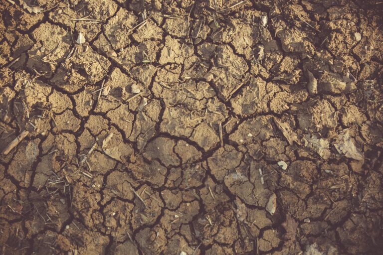 Global warming Could Push Food Prices Up 40%