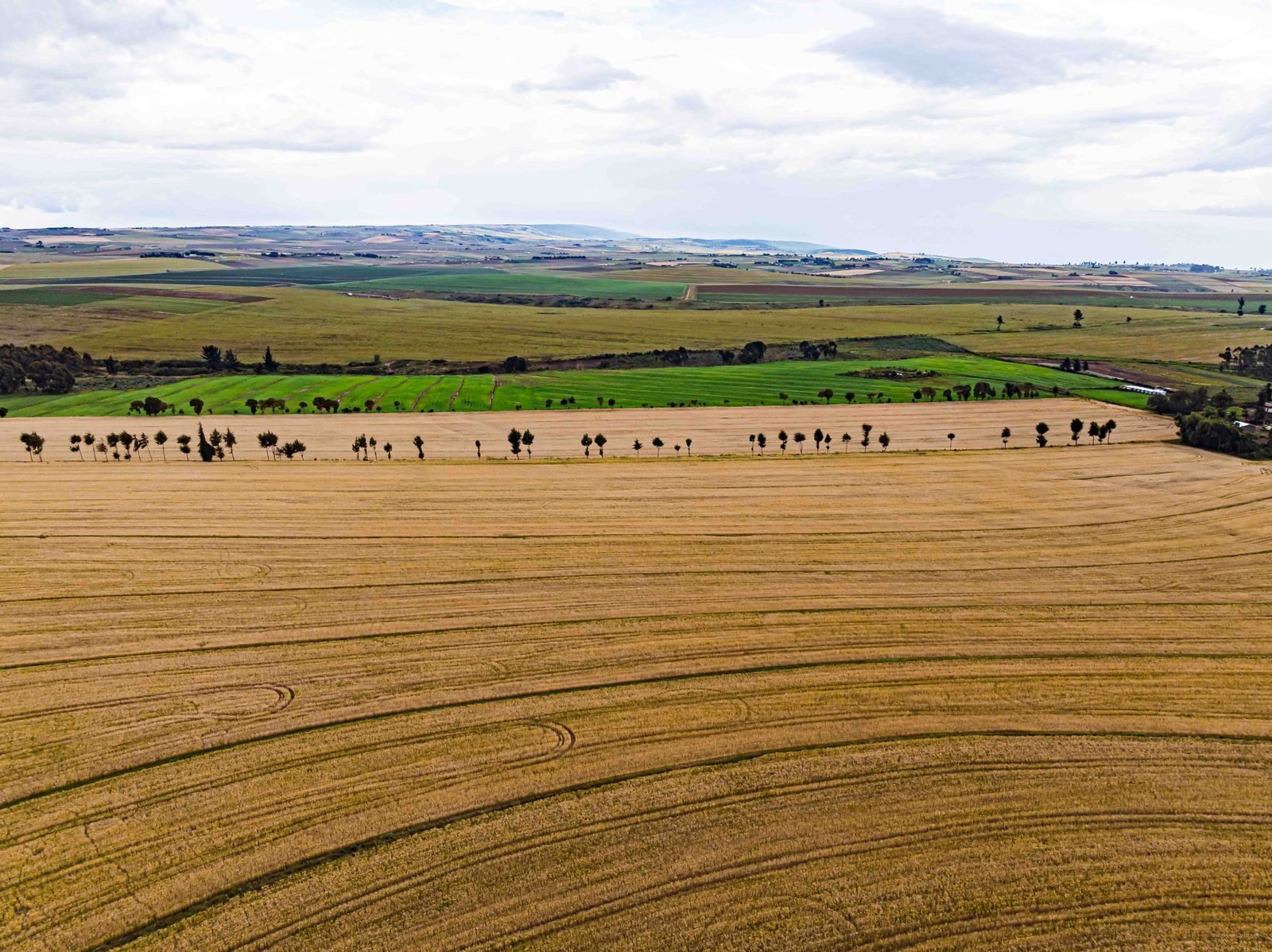 Breathtaking aerial view of expansive fields in Mau Narok, Nakuru County, Kenya.