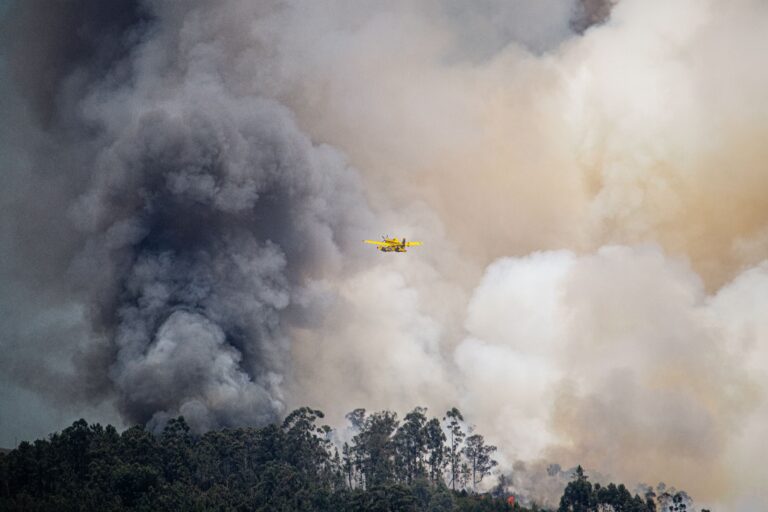 42 Wildfires Burning In US Now