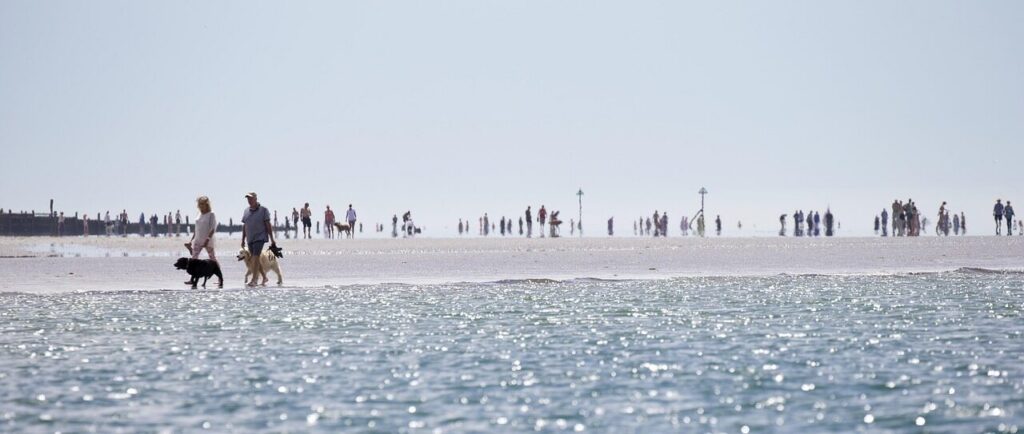 heat haze, nature, hot weather, beach, sea, sand spit, dog walkers, blue sand