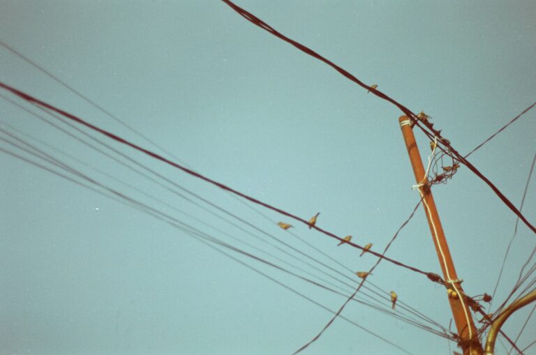 Wood Electricity Poll Snap–Wildfire Risk