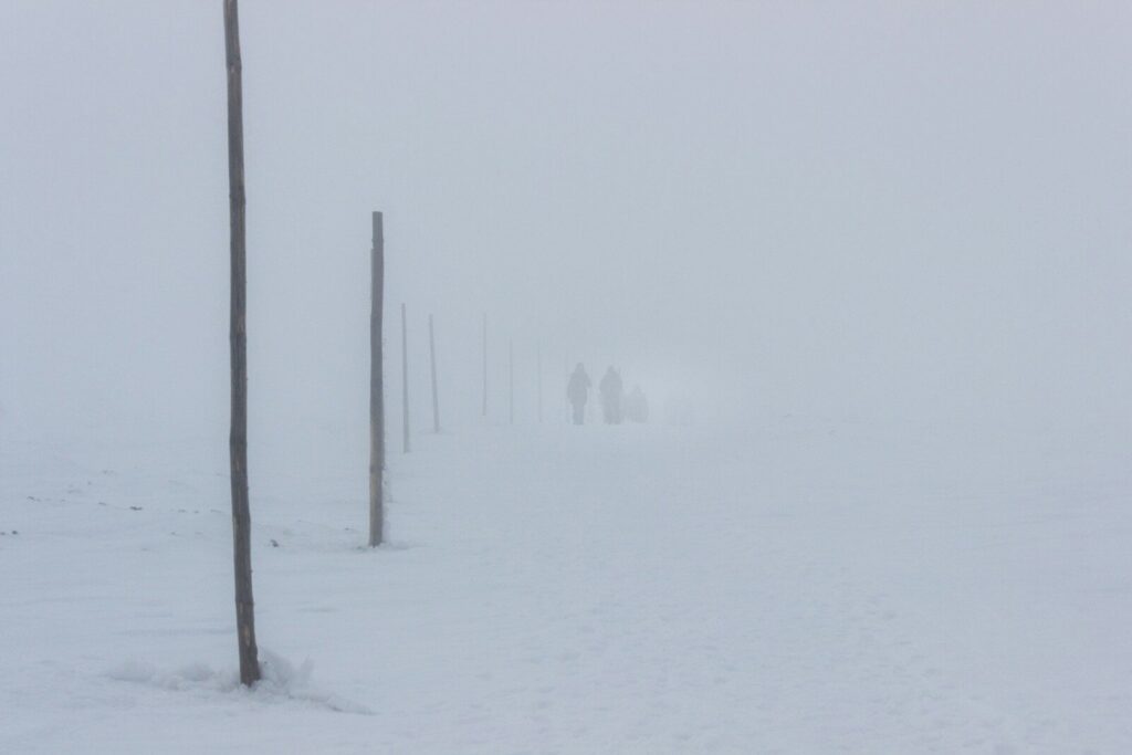 a group of people walking down a snow covered road