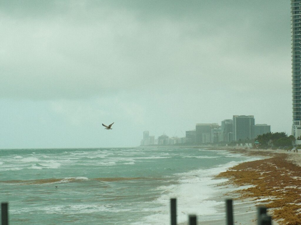 A bird flies over a stormy beach with city skyline