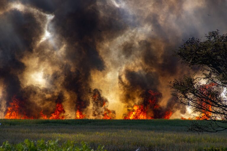 Wildfires Are Dangerous long After They Are Gone