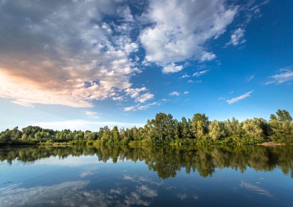 Peaceful lake with forest reflection and clear blue sky, perfect summer day.